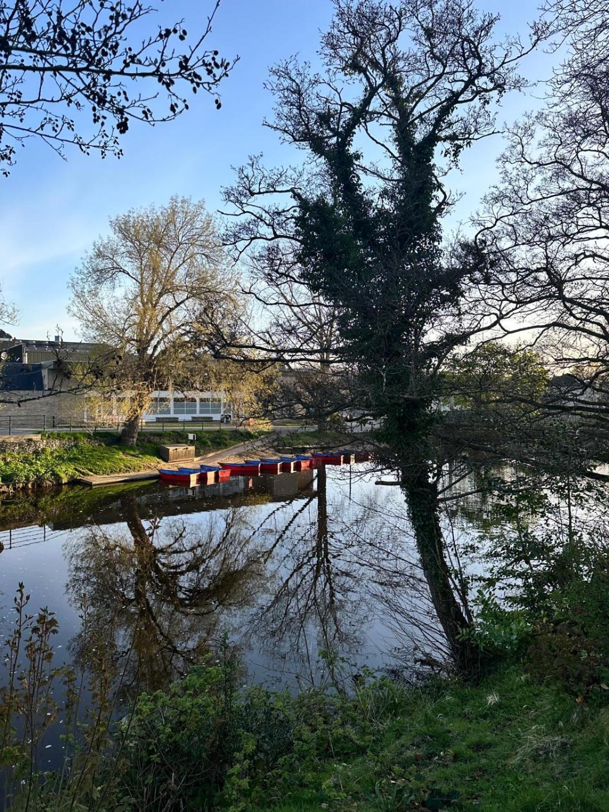 The Secret Cottage - Morpeth Extérieur photo